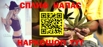 прущие грибы Пугачёв