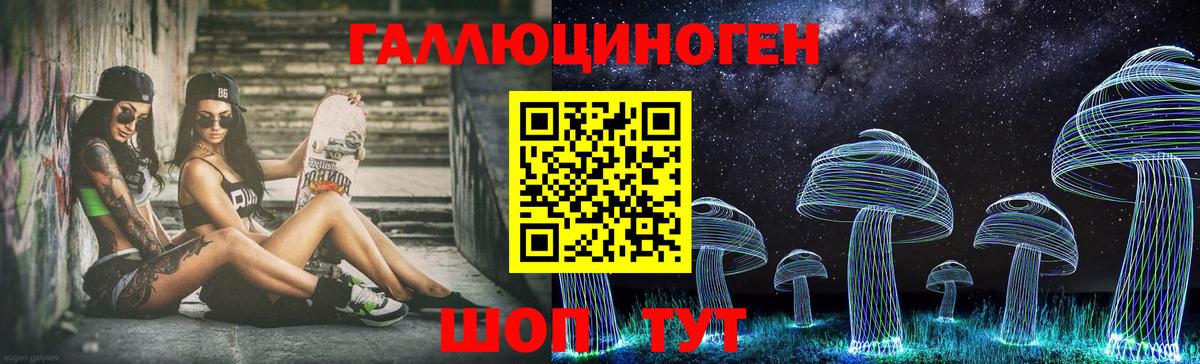 Новозыбков  Галлюциногенные грибы ЛСД  Псилоцибиновые грибы GOLDEN TEACHER  Вход с VPN 